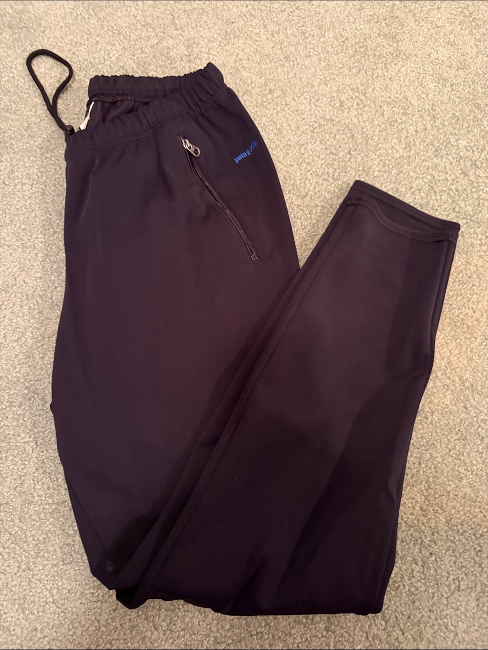 Patagonia soft shell pant